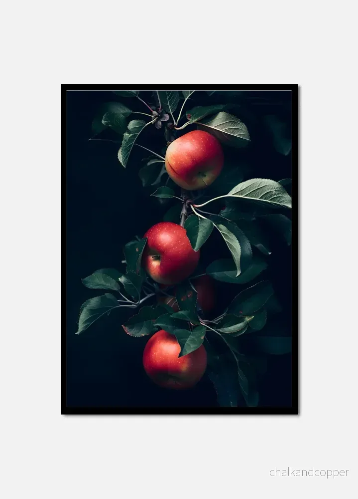 The Forbidden Apples The Forbidden Apples