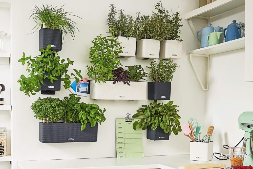 Green wall kit - Bild 2