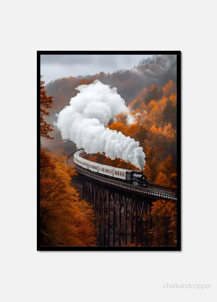 The train