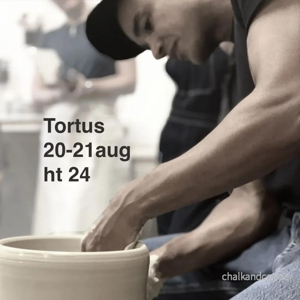 Workshop med Tortus – 20-21 augusti 2024 Workshop med Tortus – 20-21 augusti 2024