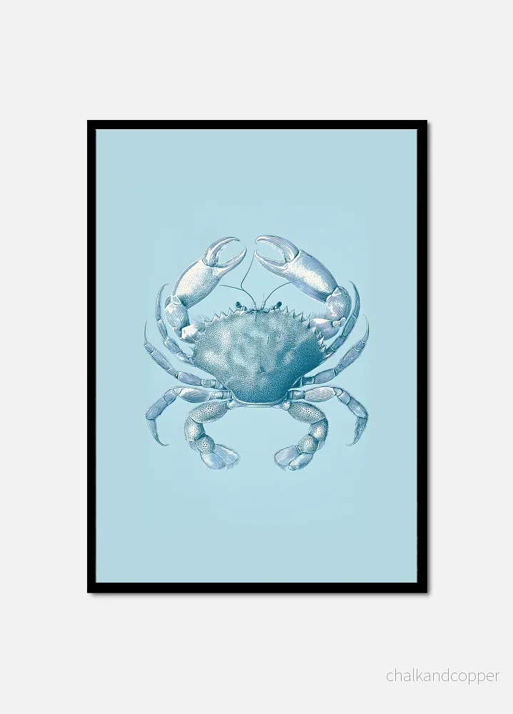 Crab & Calm