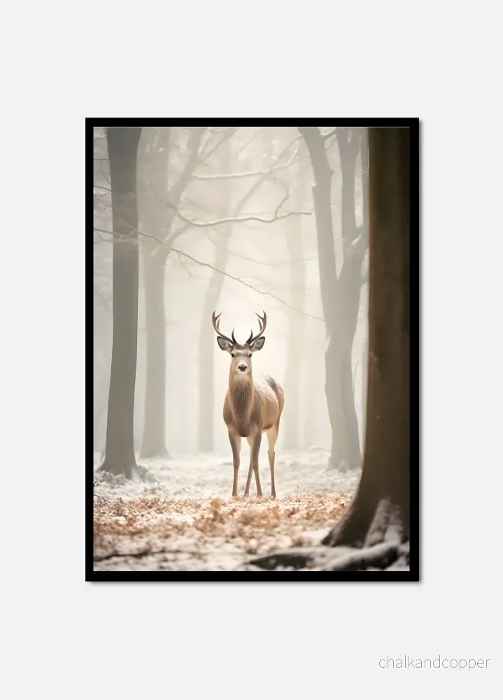 Winter Dear