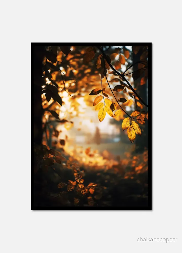 Autumn Glow Autumn Glow