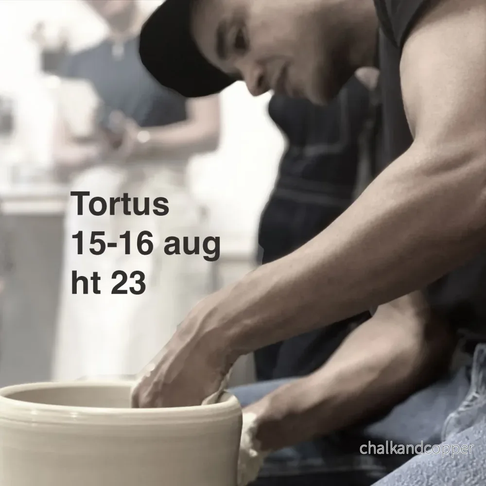 Workshop med Tortus – 15-16 augusti 2023 Workshop med Tortus – 15-16 augusti 2023