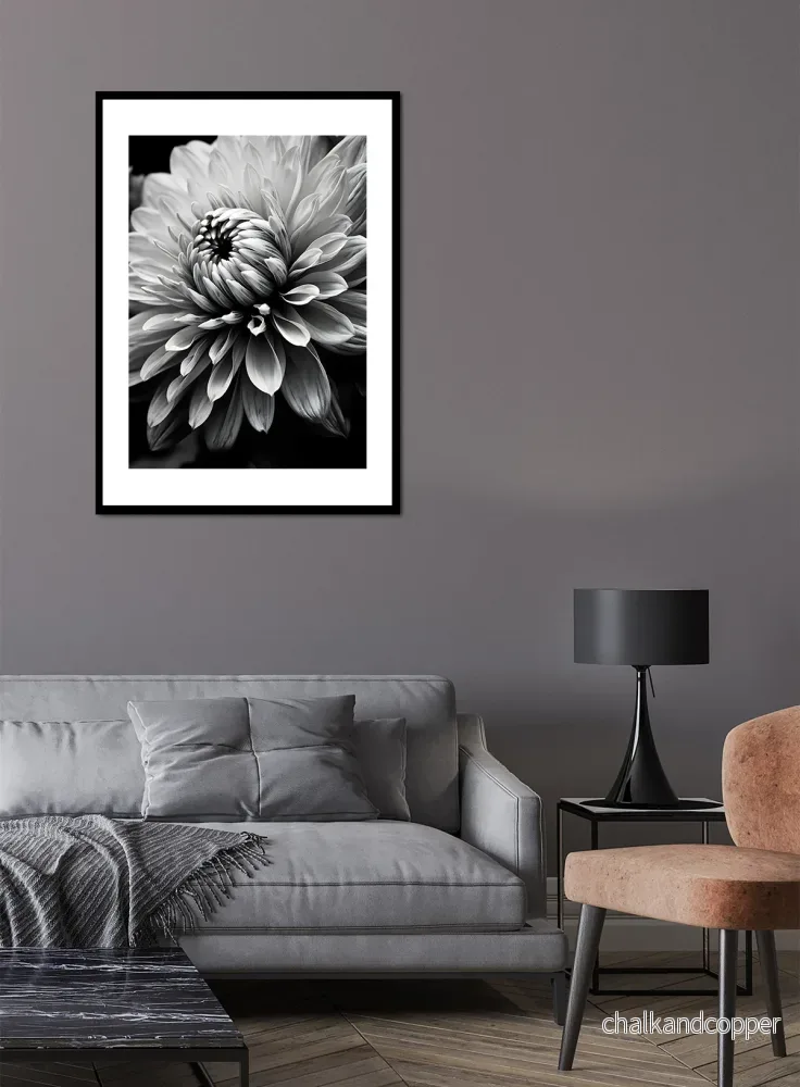 Bloom in Contrast - Bild 2
