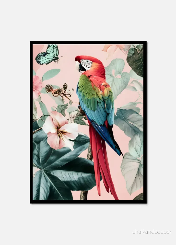 Parrot Paradise Parrot Paradise