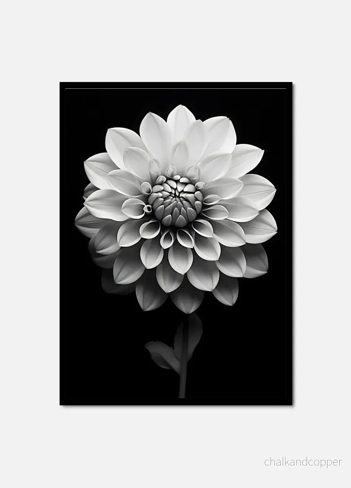 Ebony and Ivory Bloom