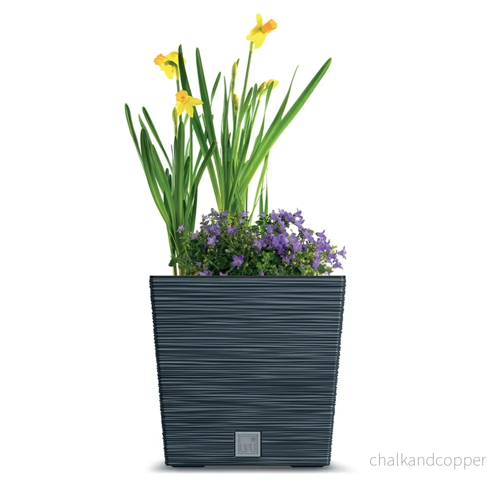 Prosperplast Furu Square Low blomkruka med insats DFS300-S433 - antracitfärgad - Bild 3