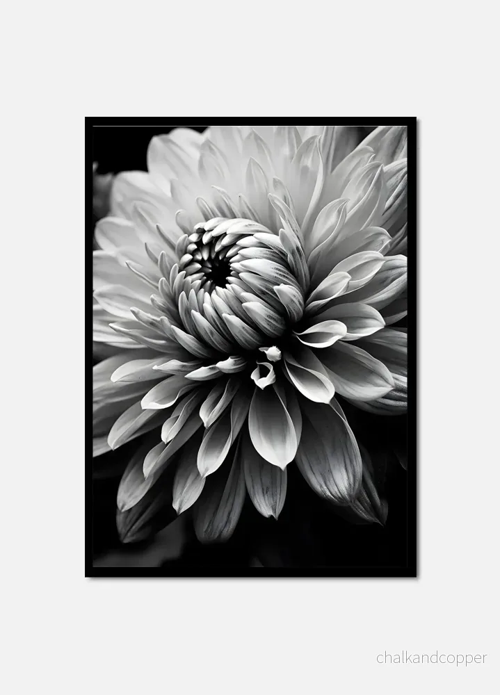 Bloom in Contrast Bloom in Contrast