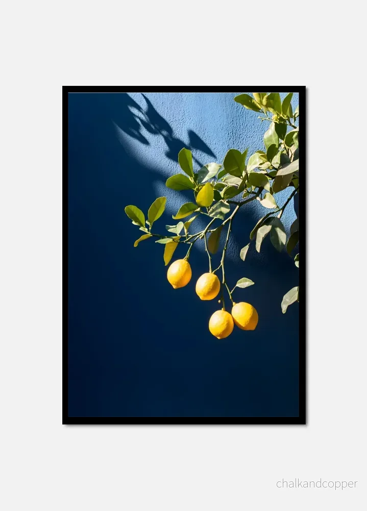 Citrus Charm Citrus Charm