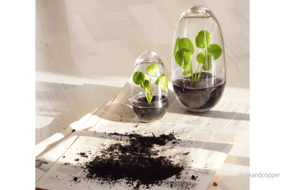 Grow Greenhouse – Design House Stockholm