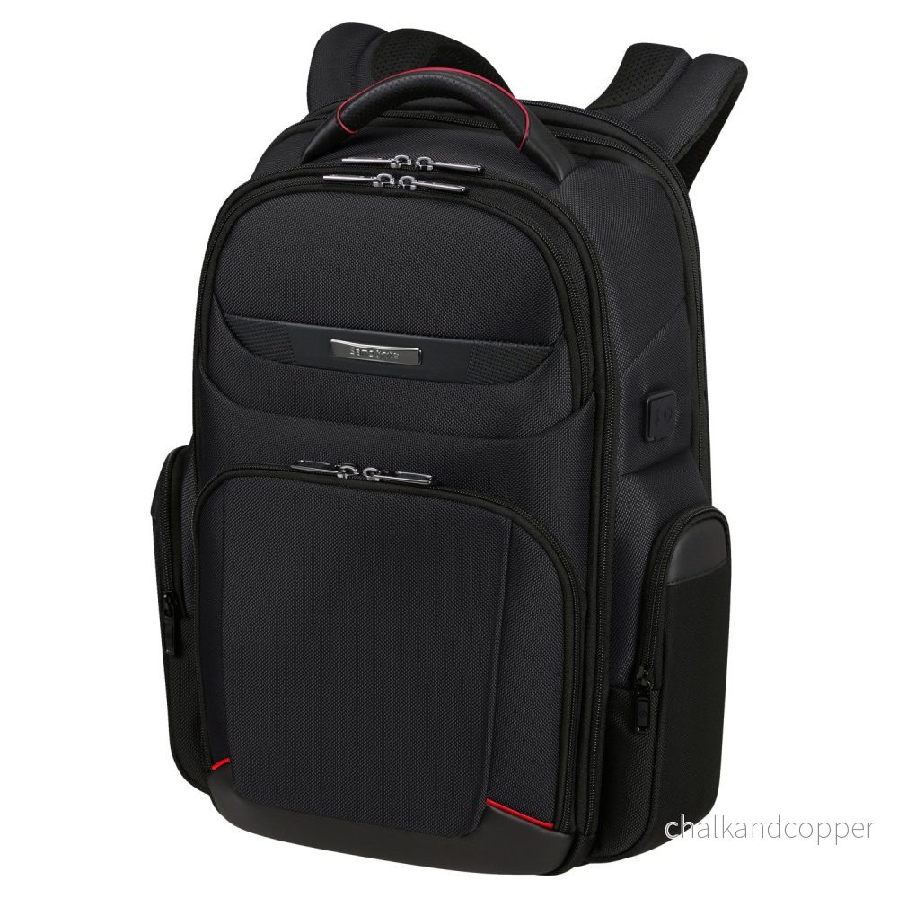 Samsonite PRO-DLX 6 svart ryggsäck för 15,6-tums bärbar dator - Bild 2
