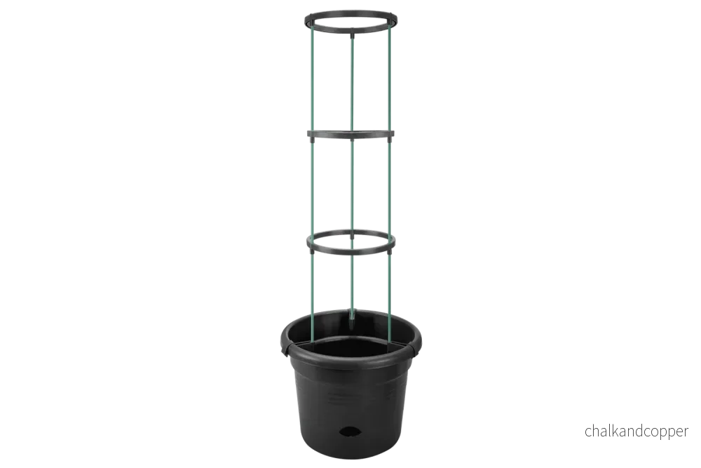 Green basics tomatkruka Ø:33,5 cm Green basics tomatkruka Ø:33,5 cm