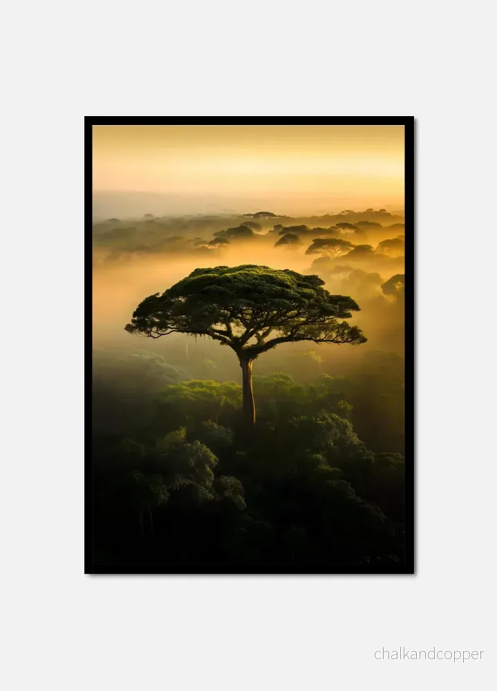 Rainforest Spirit Rainforest Spirit
