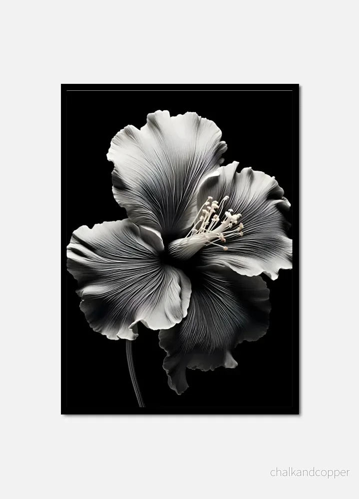 Shades of Bloom