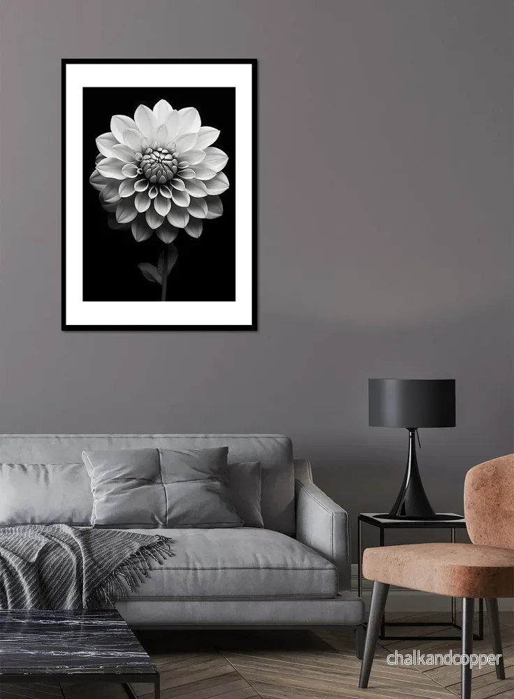 Ebony and Ivory Bloom - Bild 2