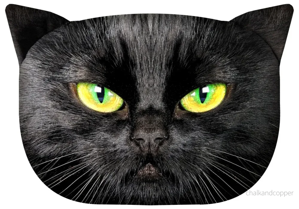 Bertoni Cat Nero prydnadskudde 30x45 cm, velour, kattmönster, allergivänligt inlägg