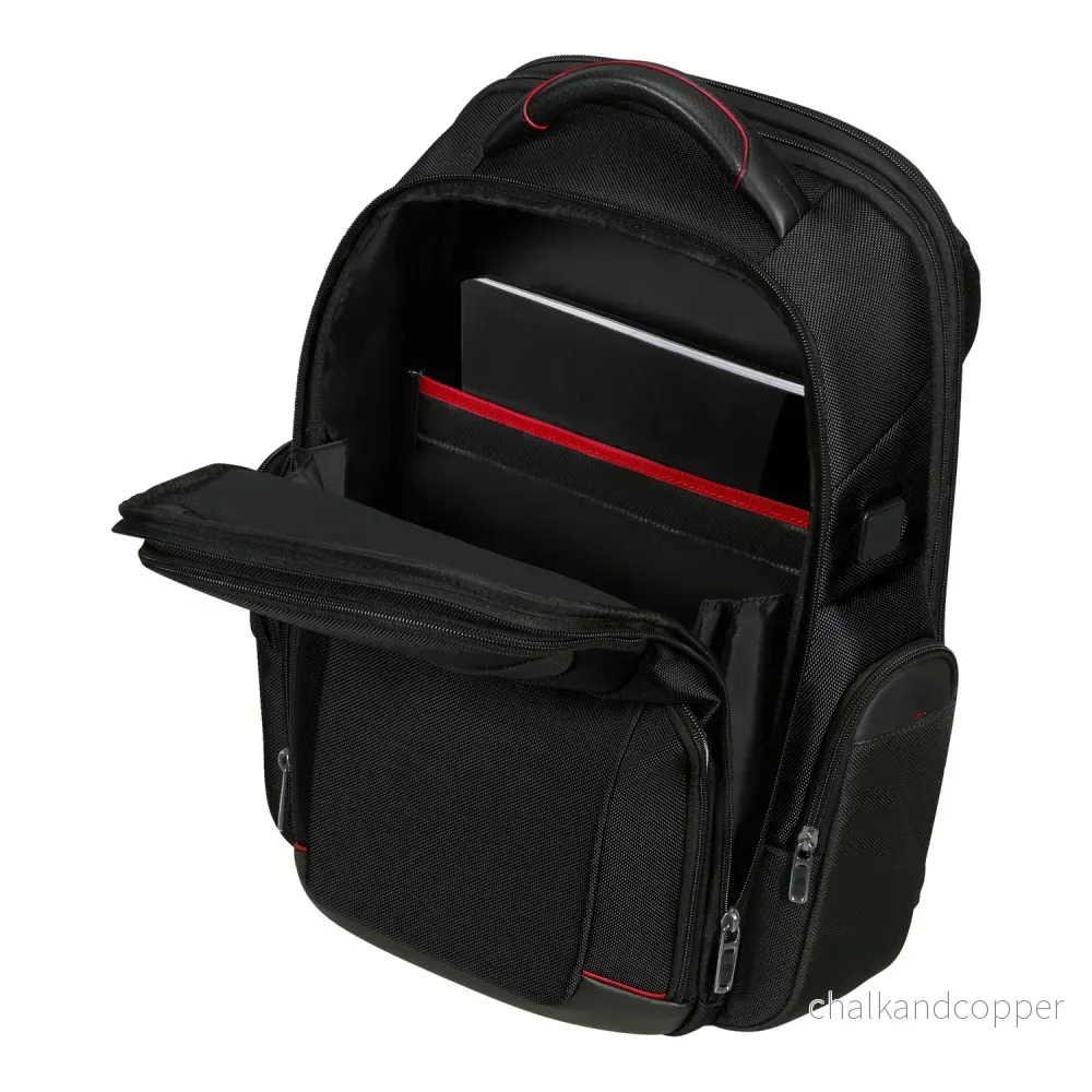 Samsonite PRO-DLX 6 svart ryggsäck för 15,6-tums bärbar dator - Bild 3