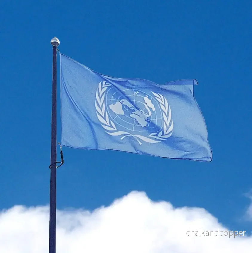 FN-Flagga - Bild 2