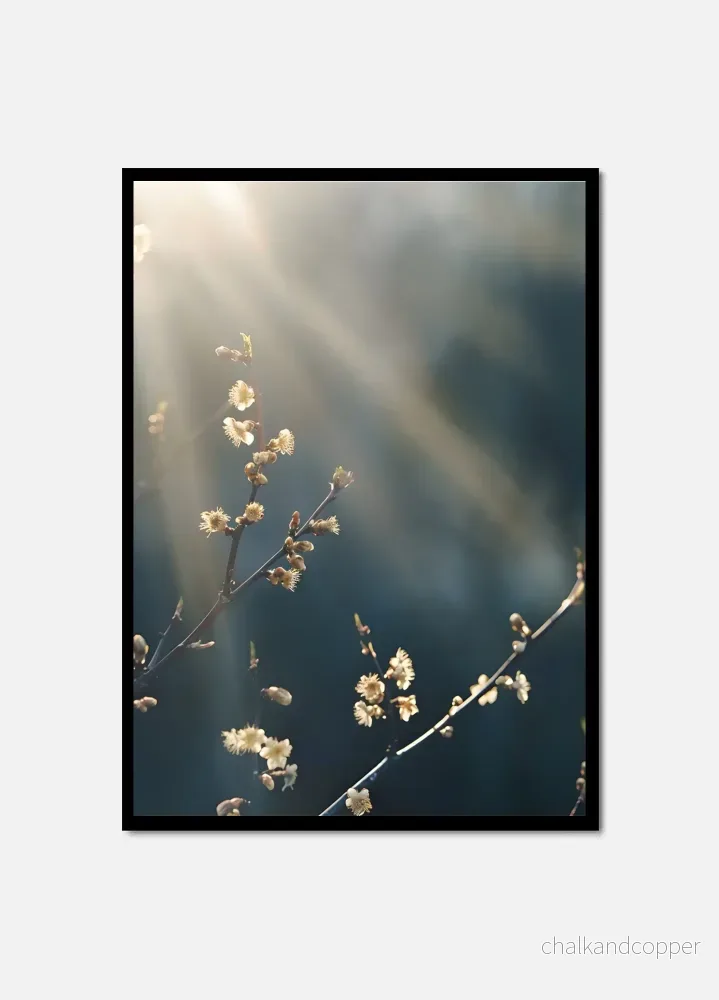 Autumn Rays