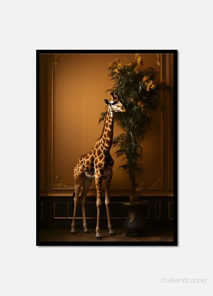 Le Giraffe Le Giraffe