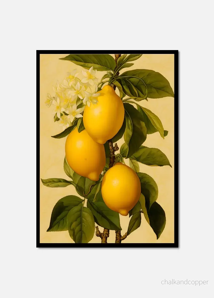 Juicy Lemon Juicy Lemon