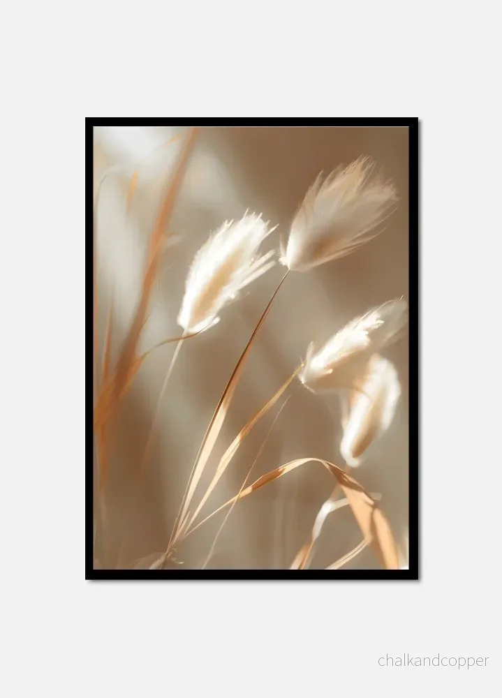 Light Harmony