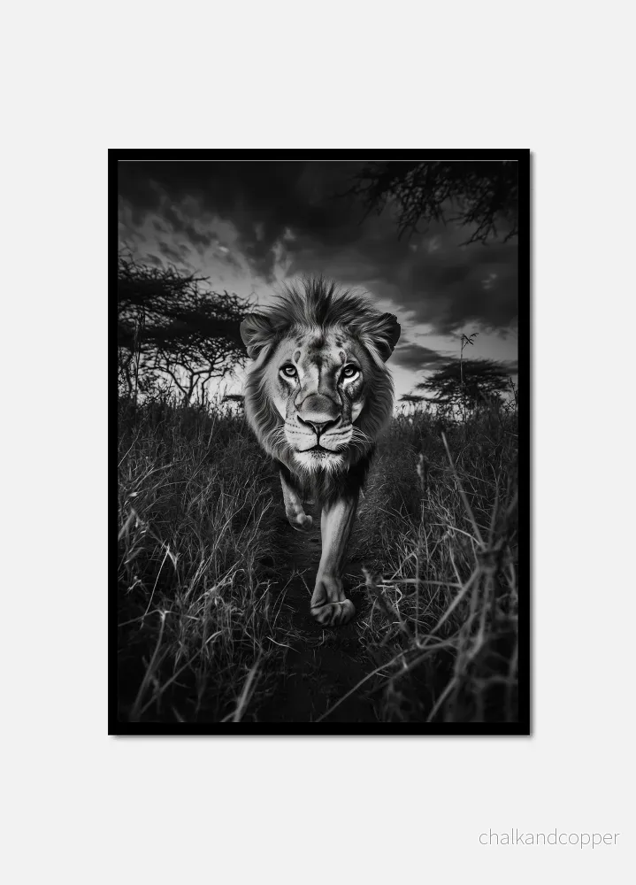 King of the Savannah