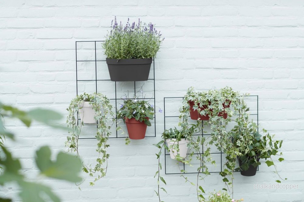 Kruka till galler, Green wall - Bild 2