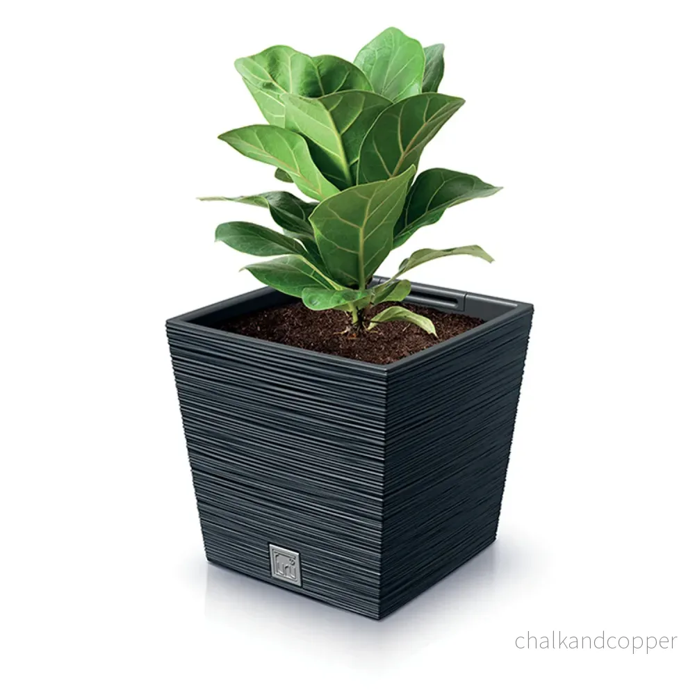 Prosperplast Furu Square Low Blomkruka Med Insats 24 x 24 x 23,5 cm Kapacitet 7,5L Antracit - Bild 2