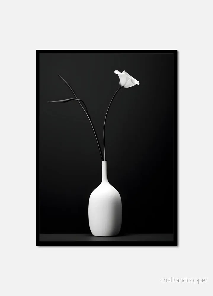 Flower in the dark