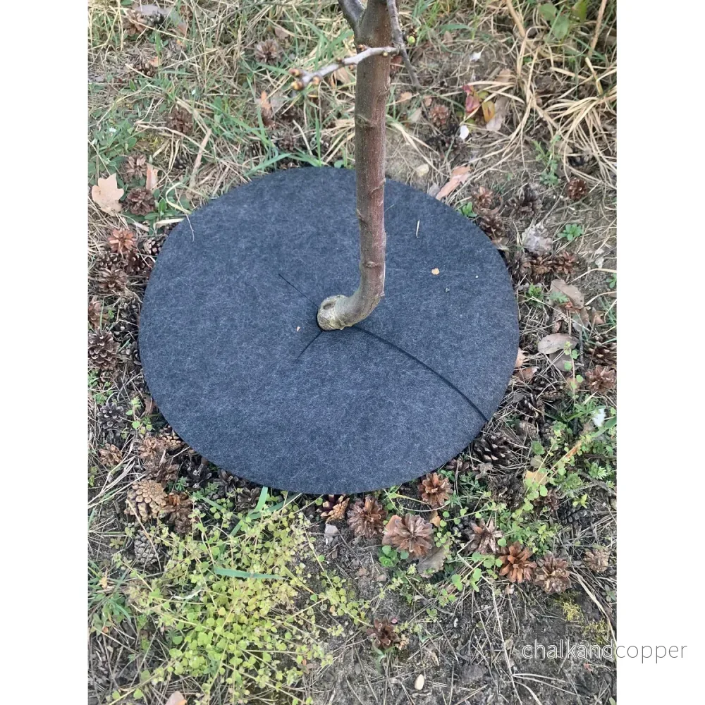 Bertoni anti-grässkivset, 6 delar, 60 cm, grå - Bild 3