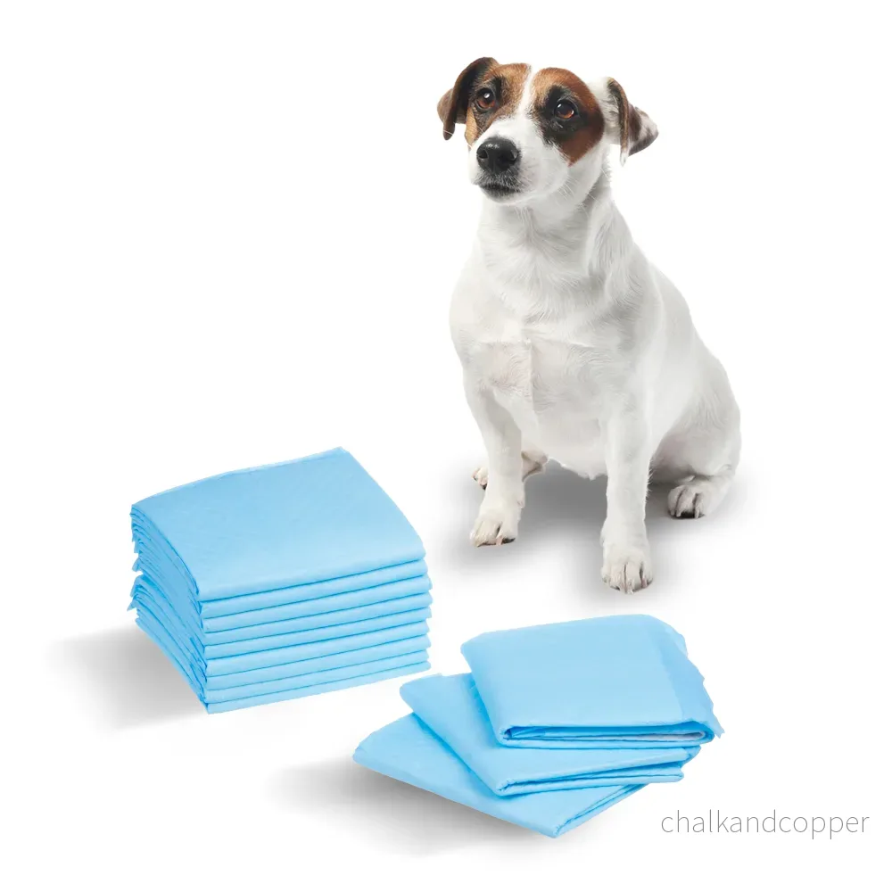 GreenBlue hygienplattor/mattor för hund/katt, för att lära sig kissa, 60x40cm, 50st, GB495 - Bild 2