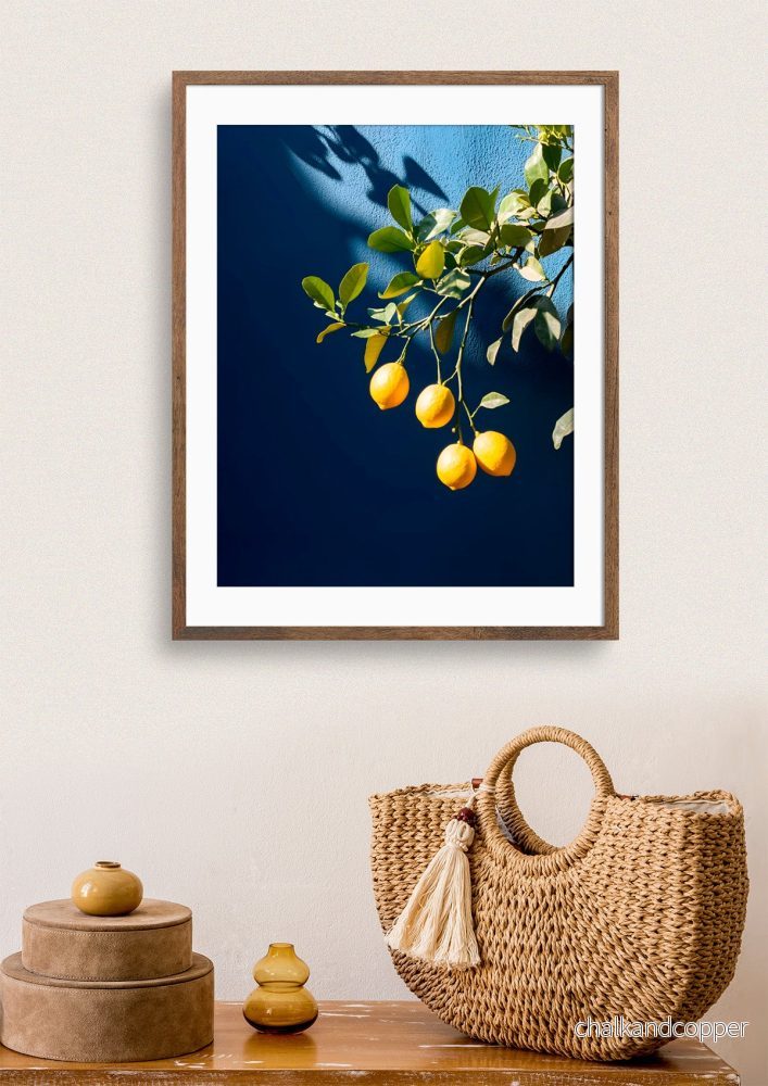 Citrus Charm - Bild 2