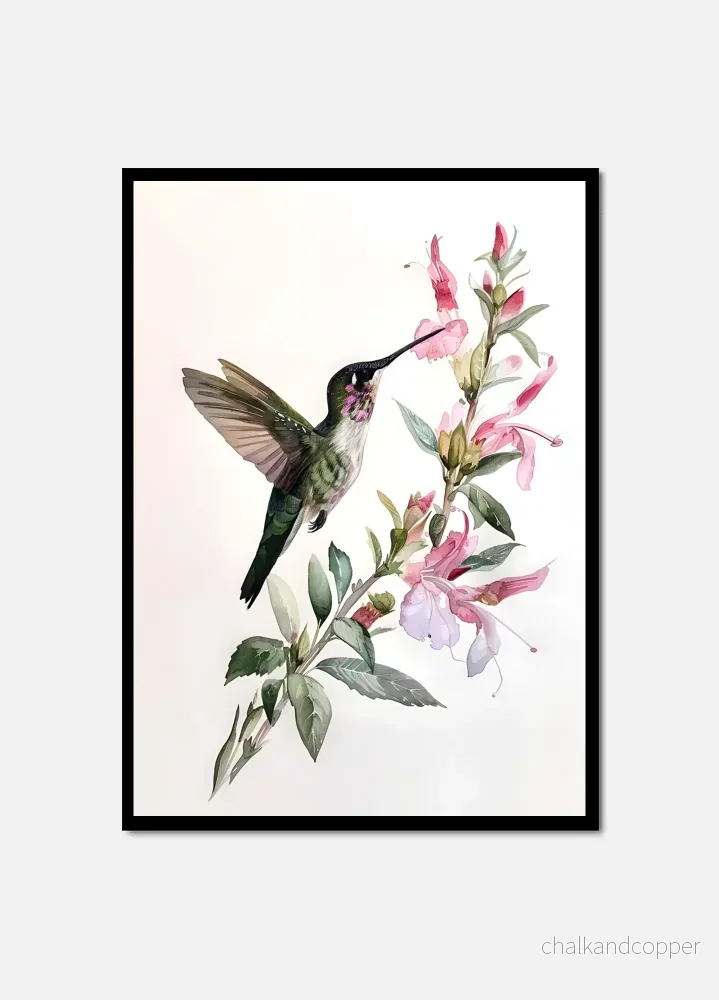 Gentle Hummingbird Gentle Hummingbird