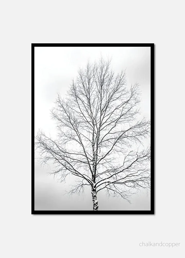 Mysterious simplicity