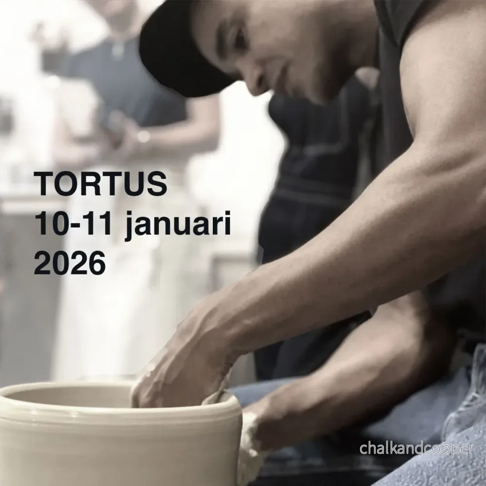 Workshop med Tortus – 10-11 januari 2026 Workshop med Tortus – 10-11 januari 2026