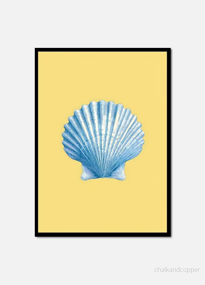 Scallop Odyssey Scallop Odyssey